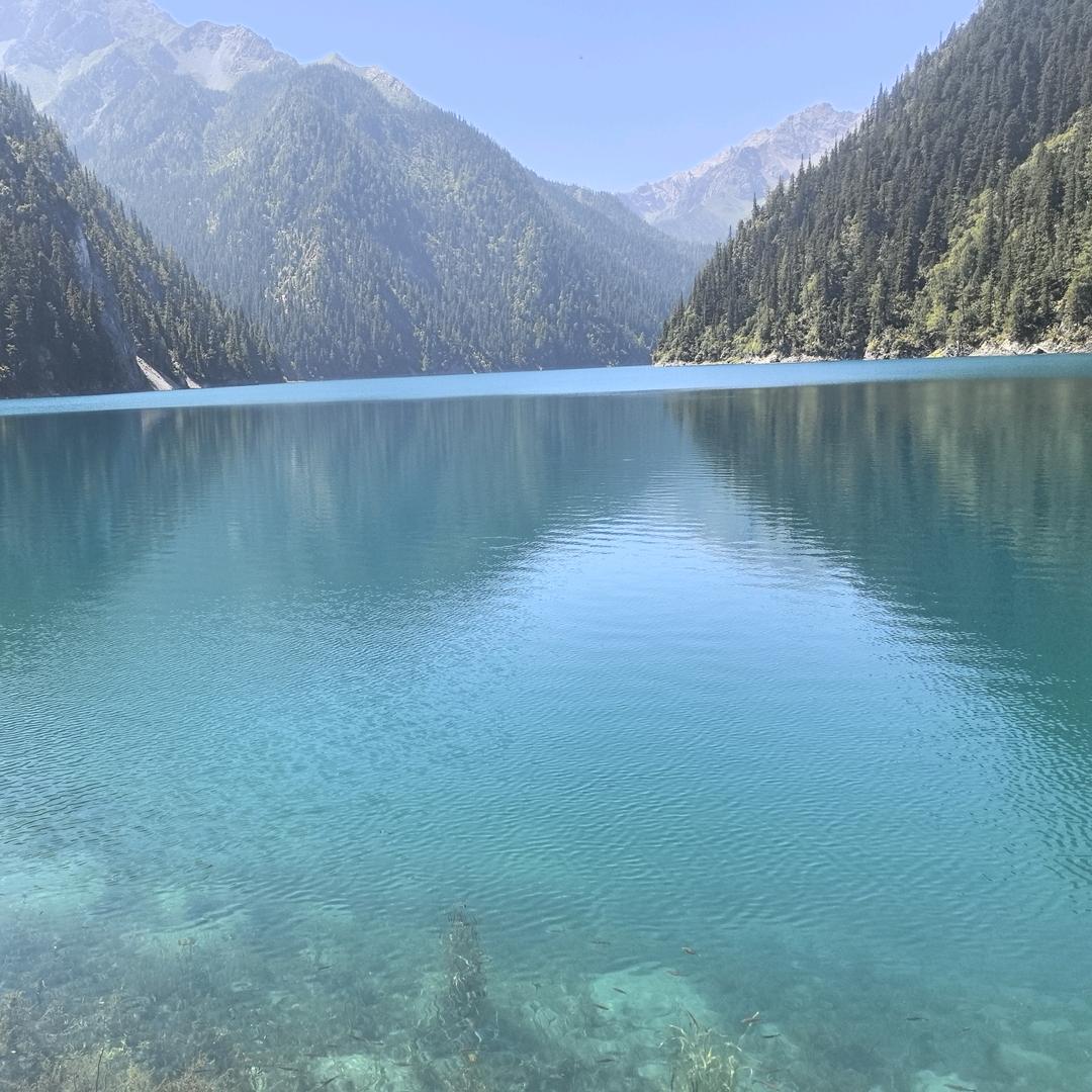 尘封已久