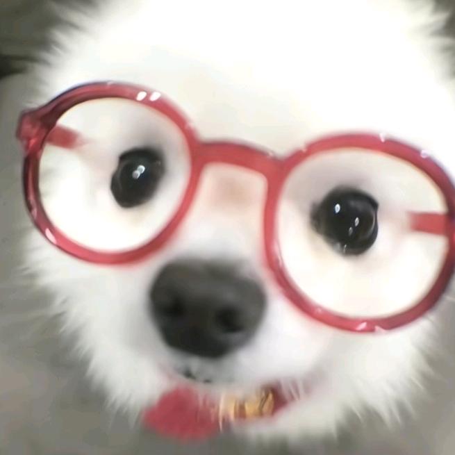 梦