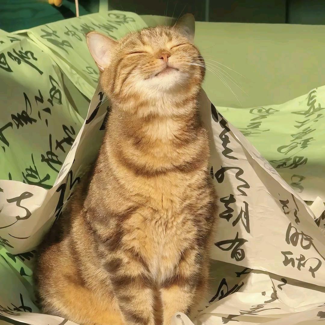 妮妮尔
