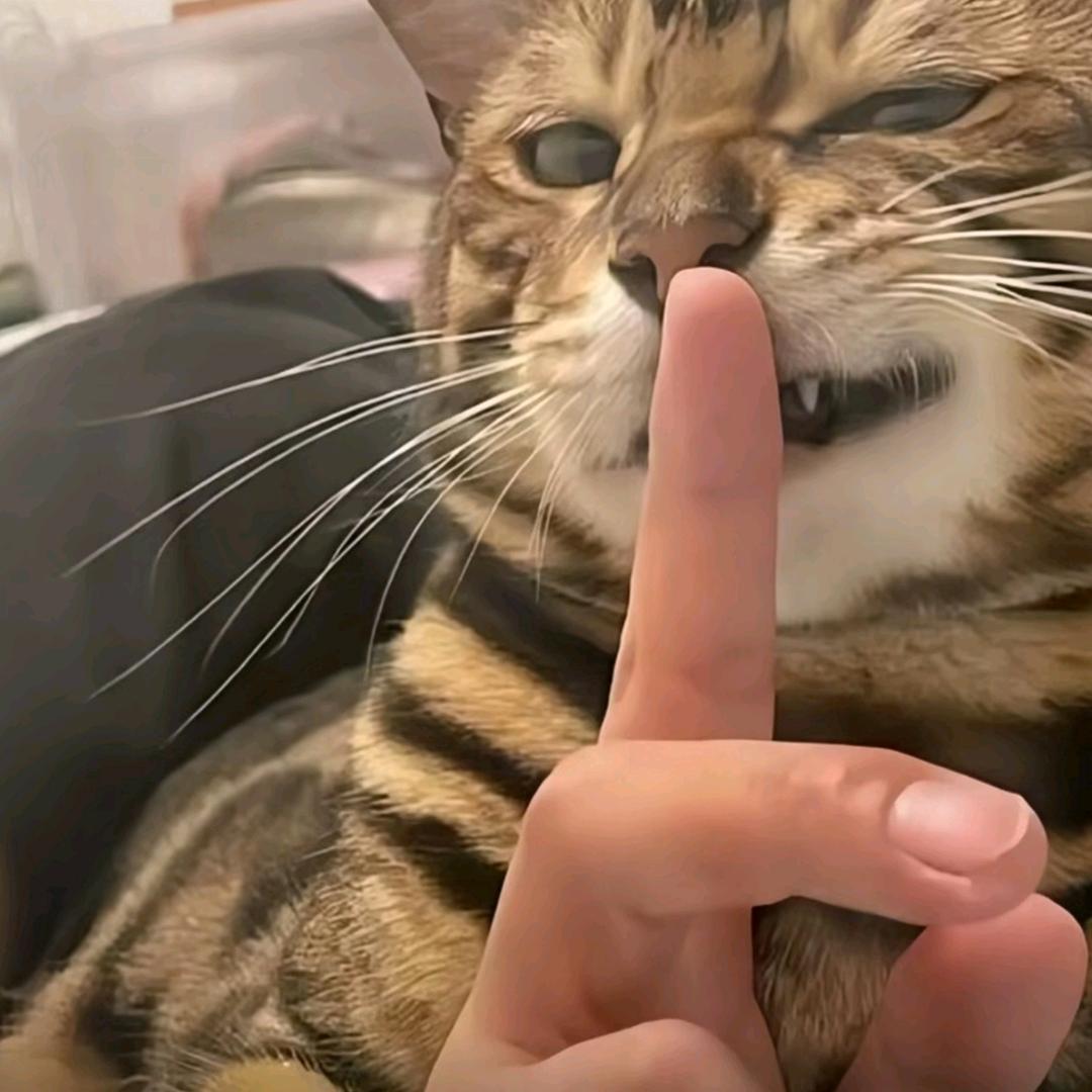 大嘴嘟嘟