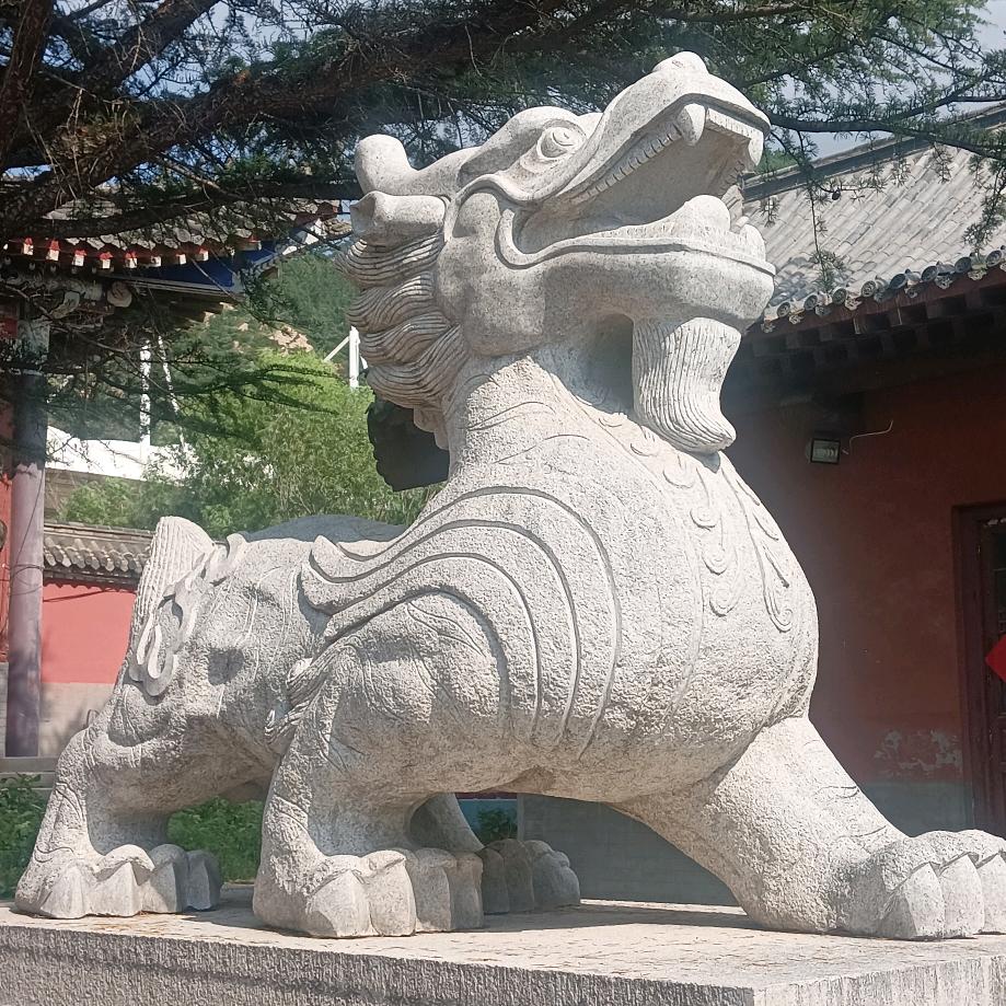 广大