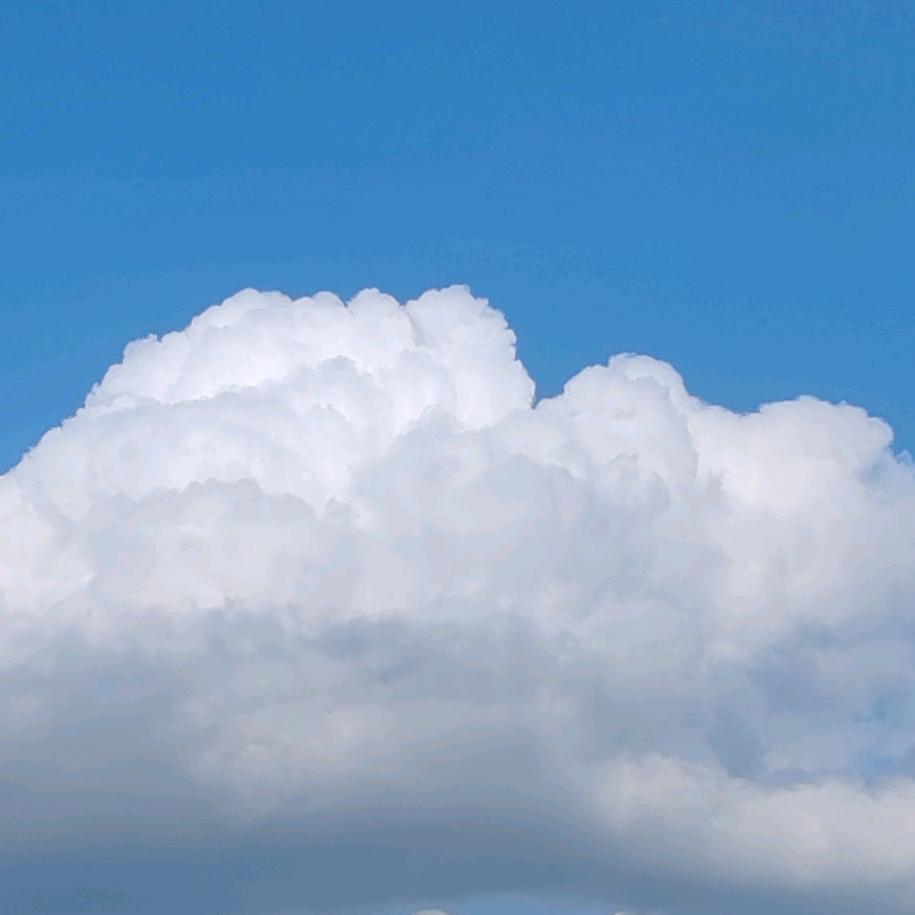 擒贼先擒，王先生