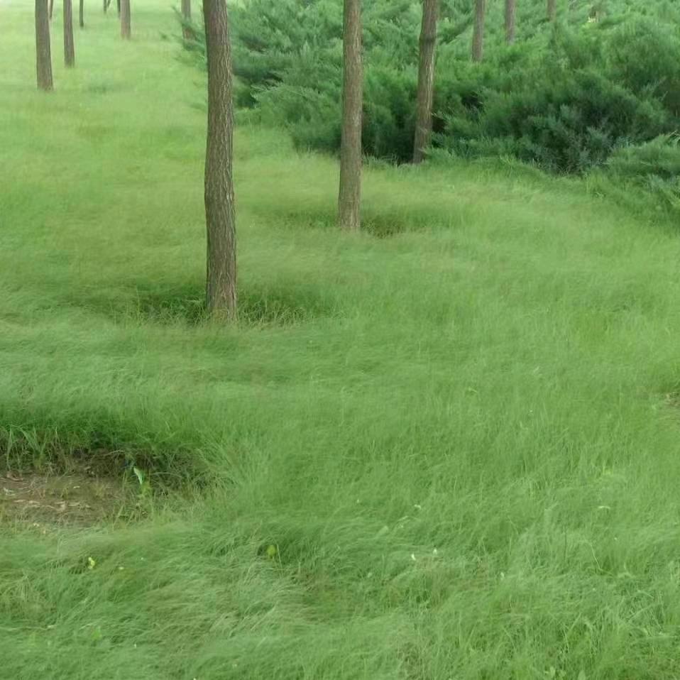 北京华谊绿景园林绿化有限公司