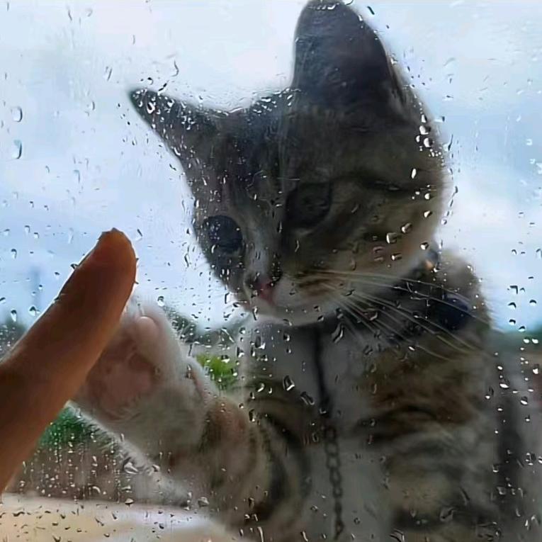 ℒᎭℯ⃝安然～