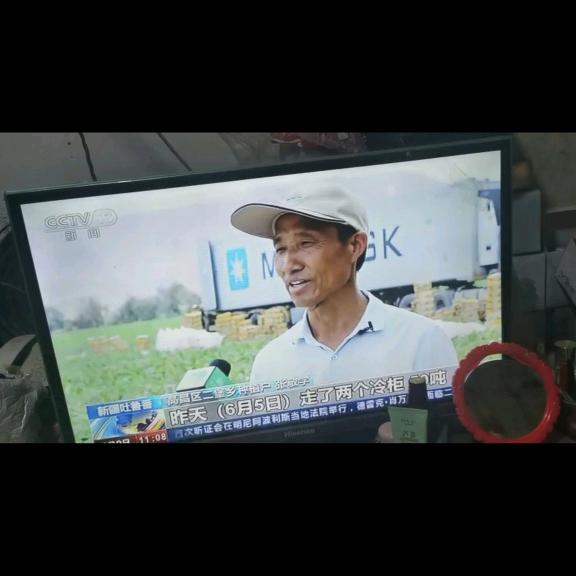 龙的传人