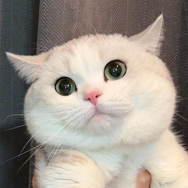 喜欢吃