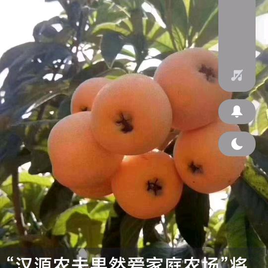 农夫果