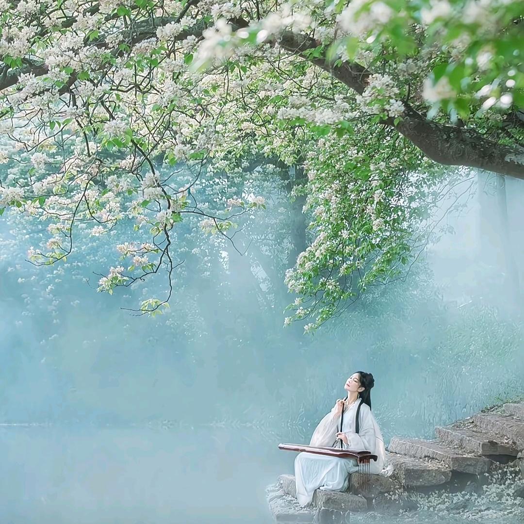 菩瑶