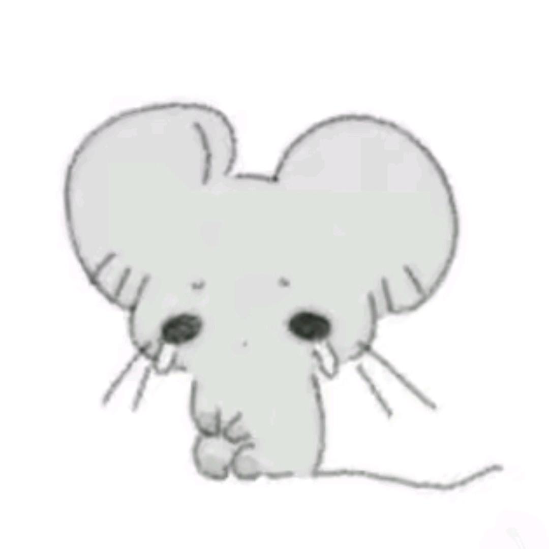 小鼠
