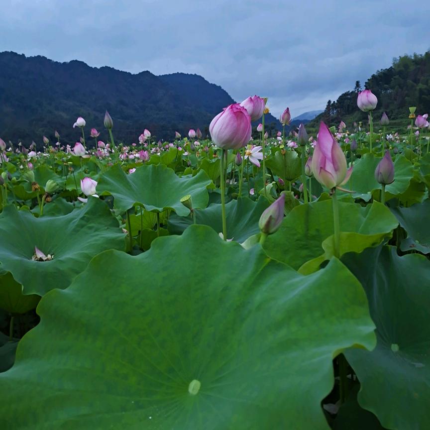 混沌
