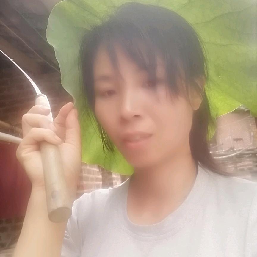 阿雪聊大棚种植