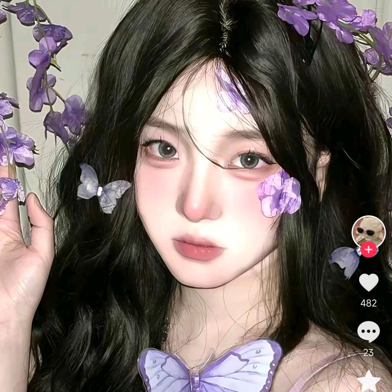 蝴蝶飞飞🦋