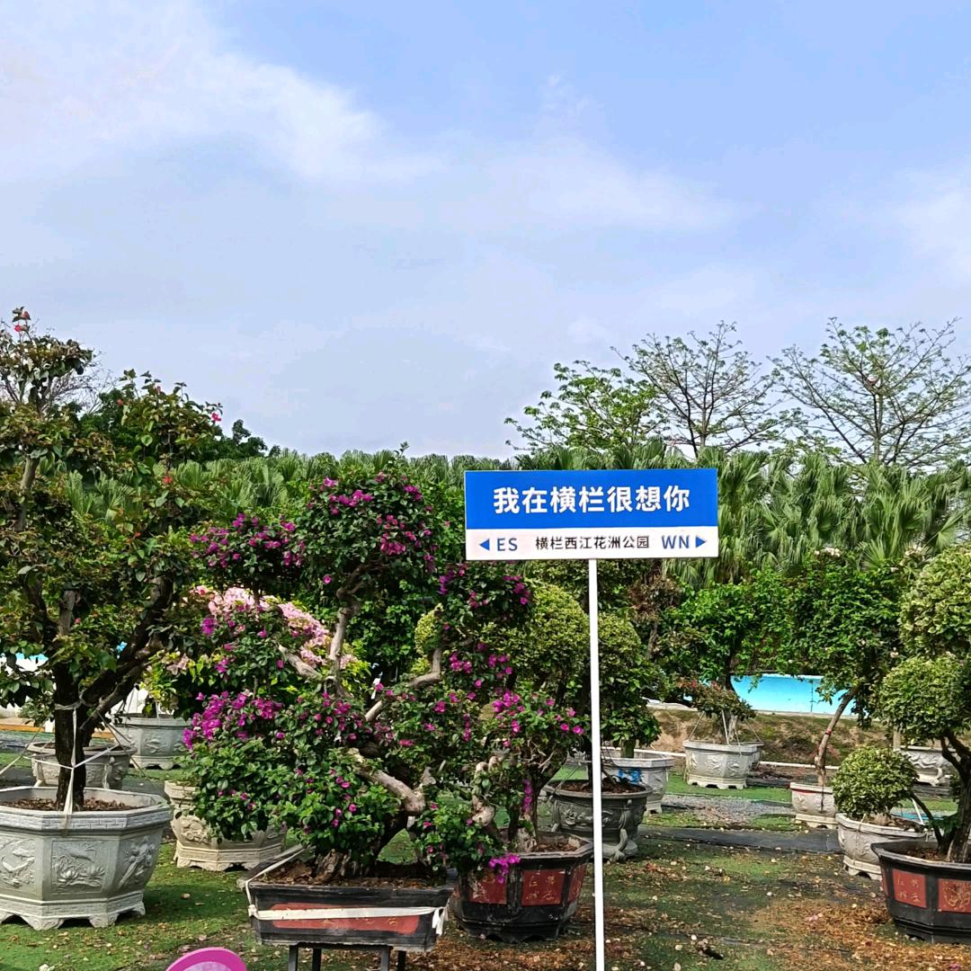 幸福美满