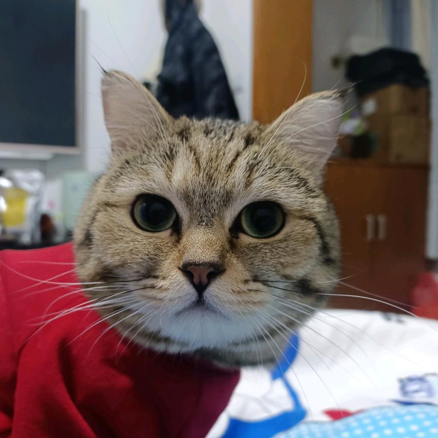 张小五的打工日记