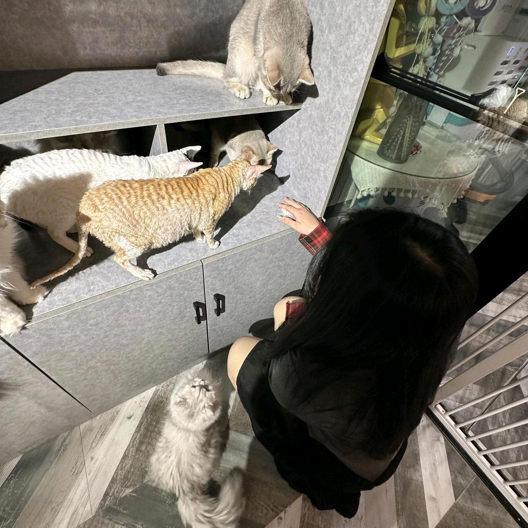 +°萌名为琪+°☆