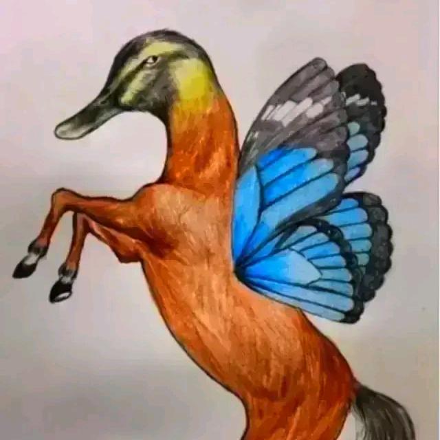 贵叔