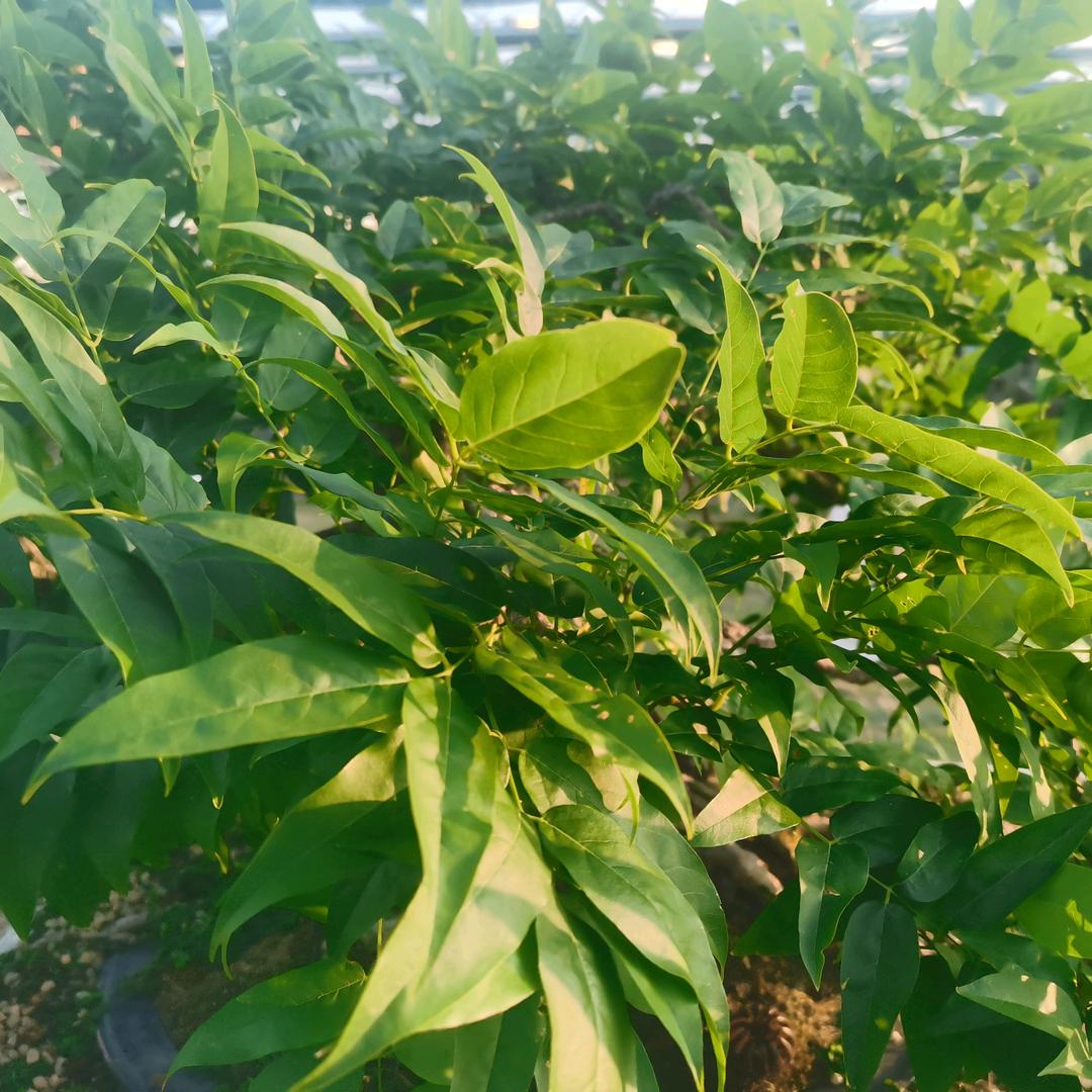 鑫福同行