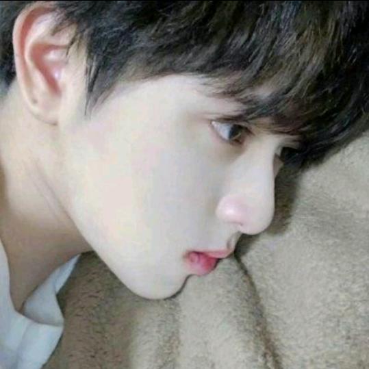 罐头