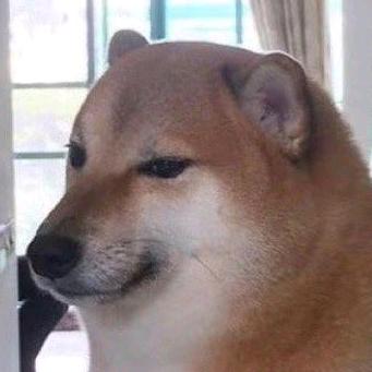 晒着乌云找月亮🌙