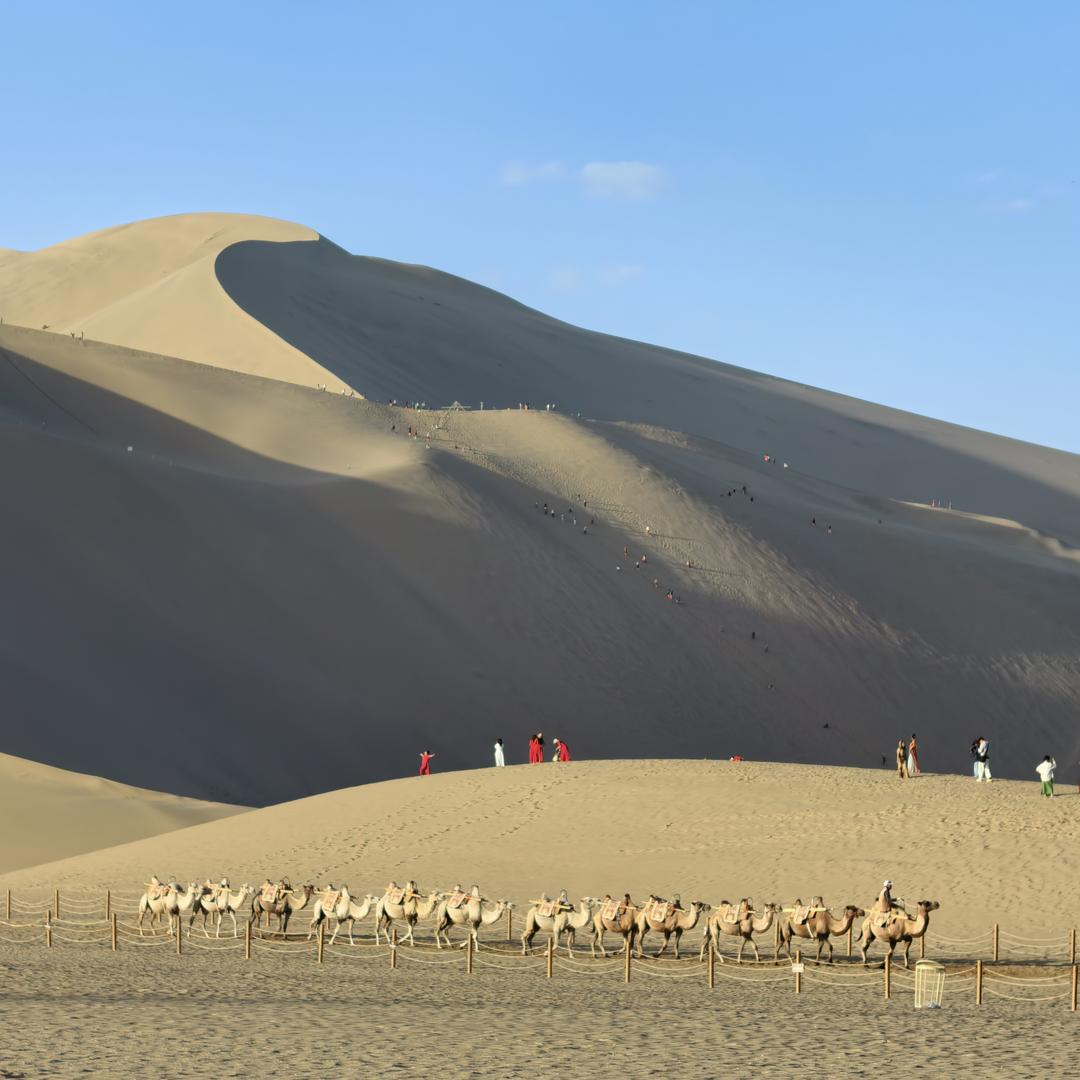 振伟通讯官方号