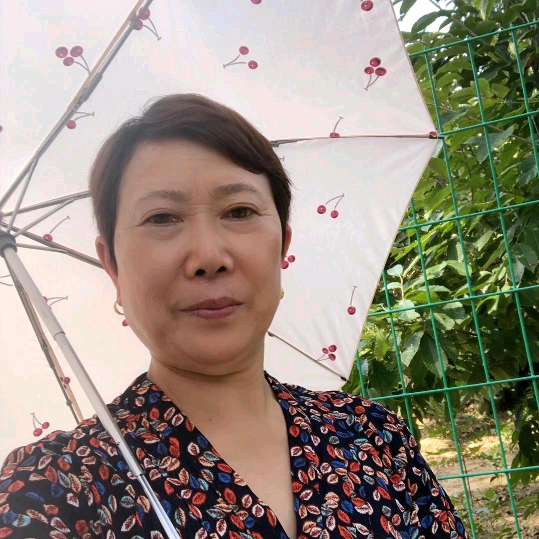 赵姐
