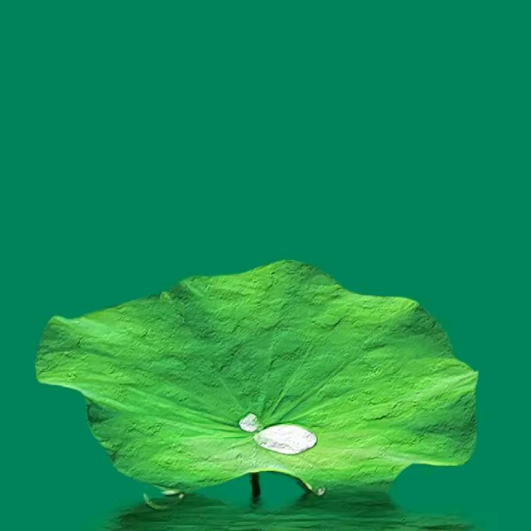 健康平安