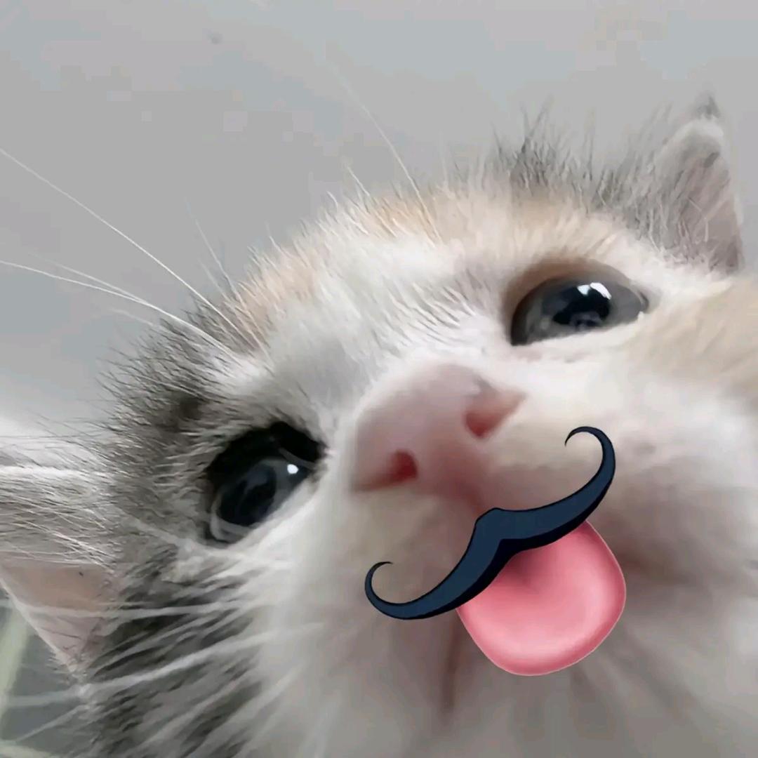 荷包蛋