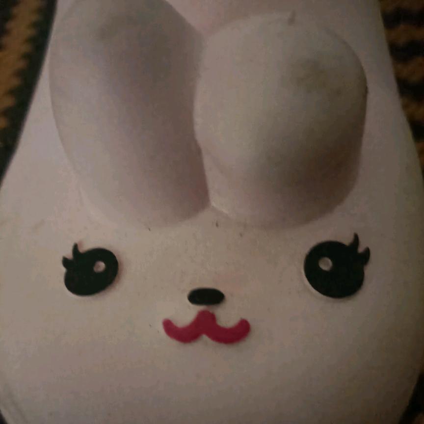 🐟会飞🐟的鱼🐟