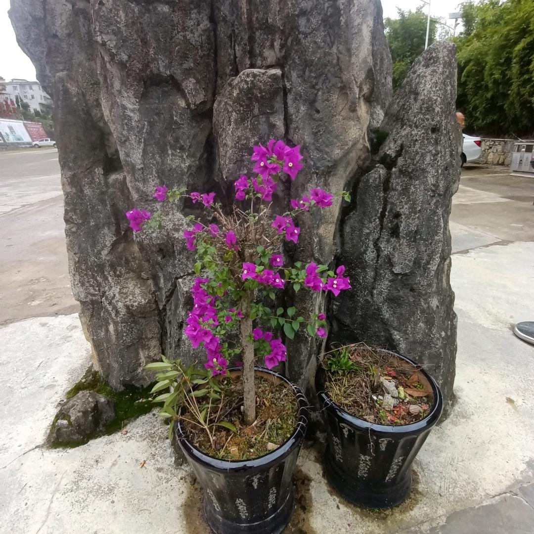 余生靠自己努力