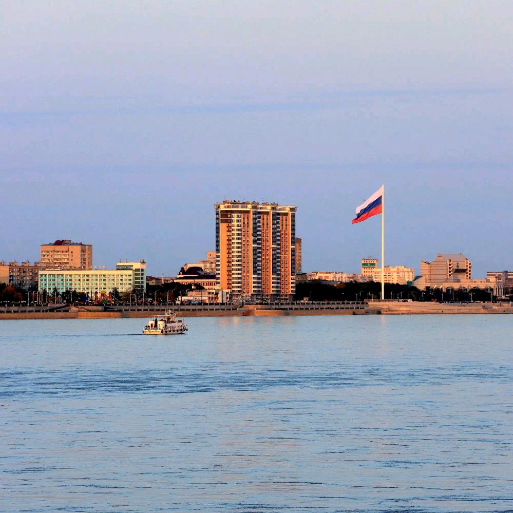 不该凋谢的玫瑰