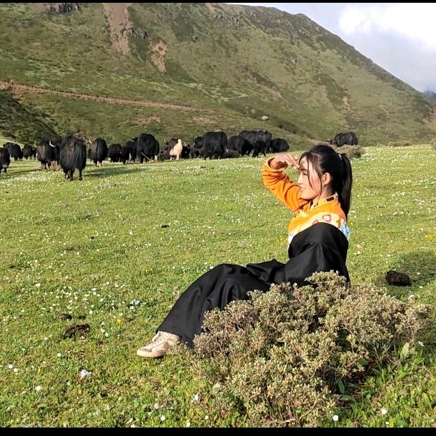 考场直找（央宗）