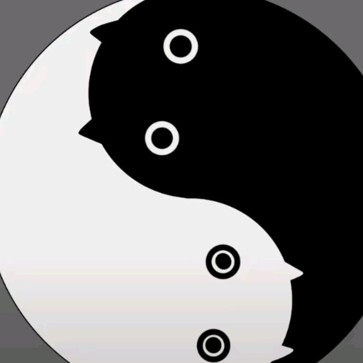 小崽是只猫