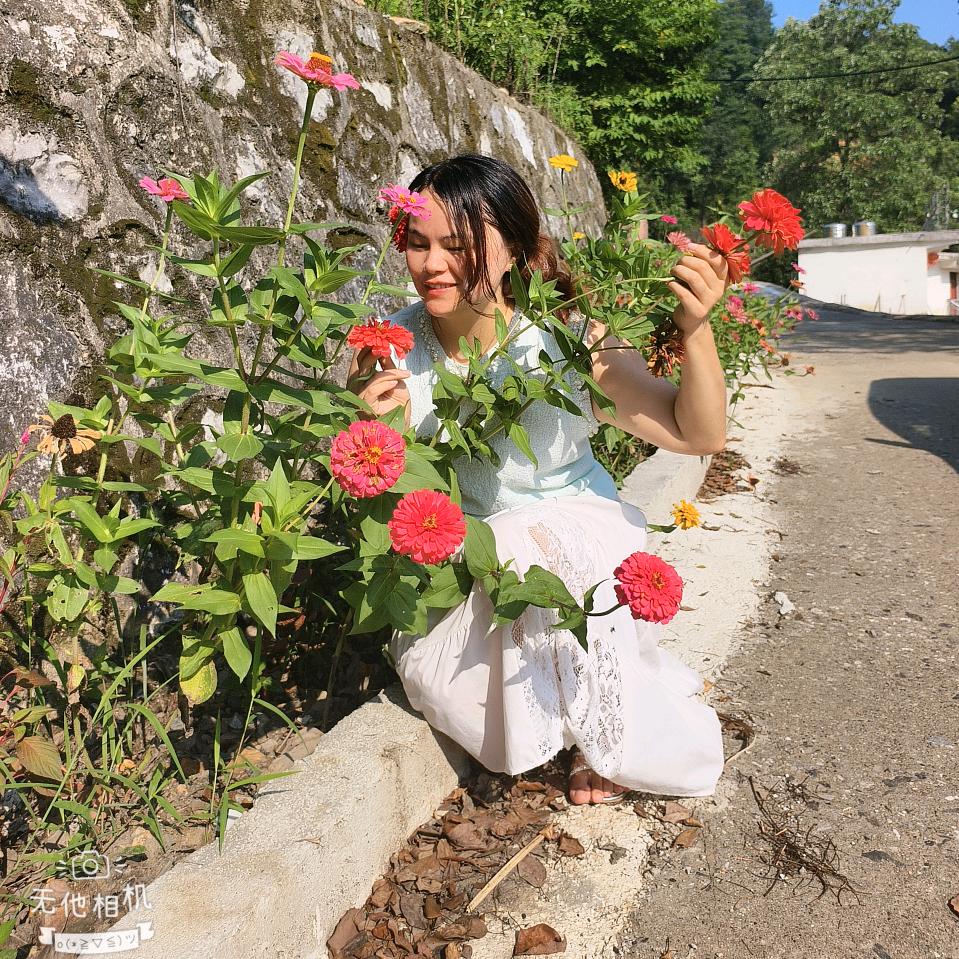 买保险的小姐姐