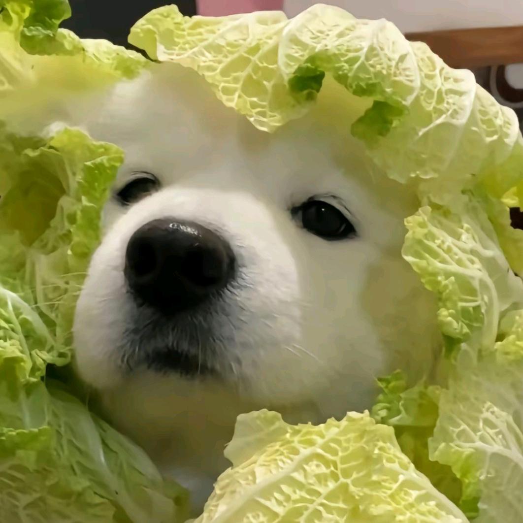 雨后