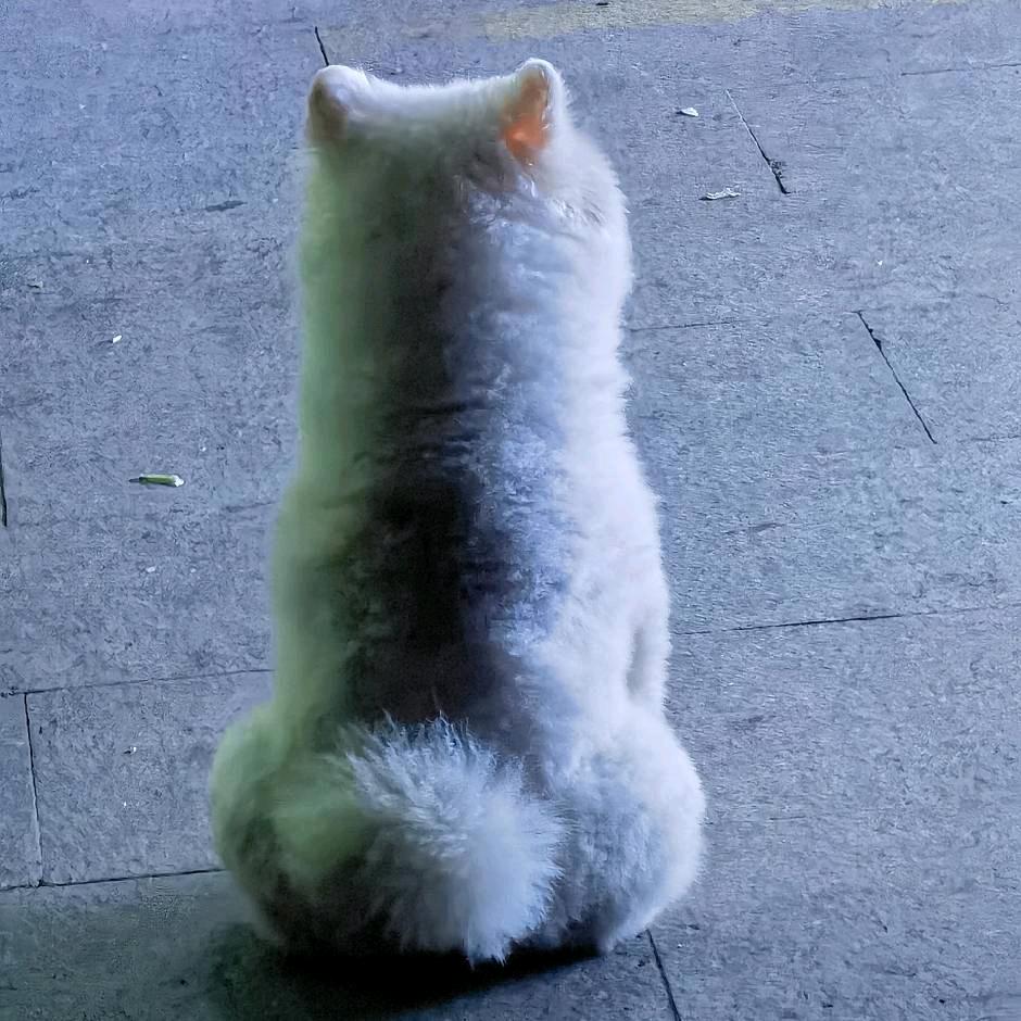 小小 ❤️𝑺𝒖𝒏ོ