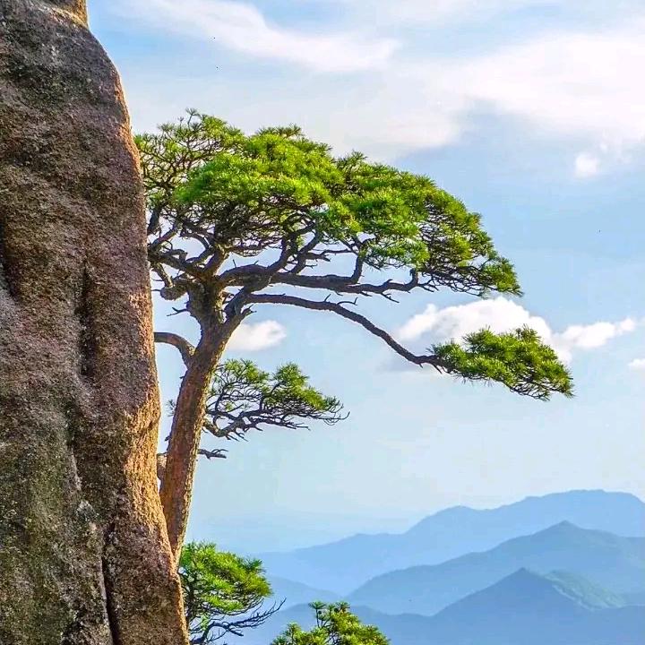 WiFi已连接……