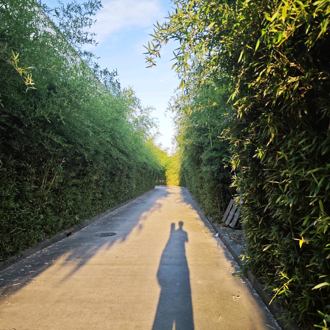 Jack的六年之约20310218