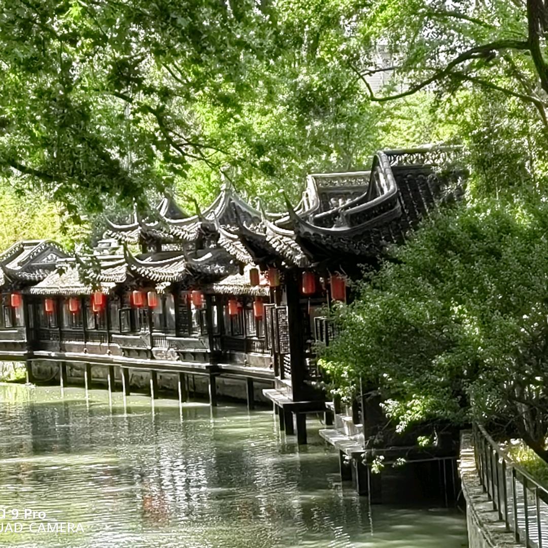 杨柳依依111