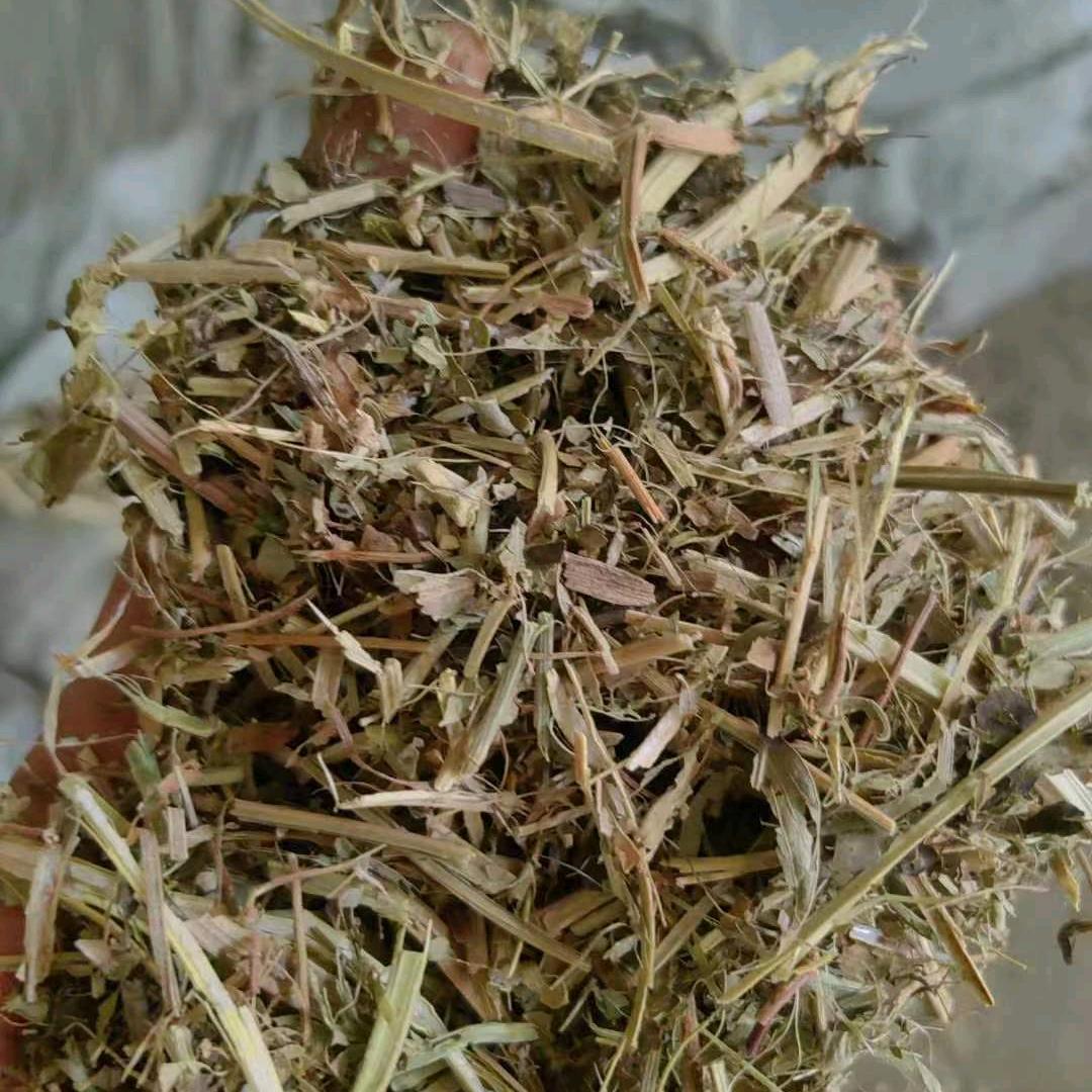 牛羊牧草—时林