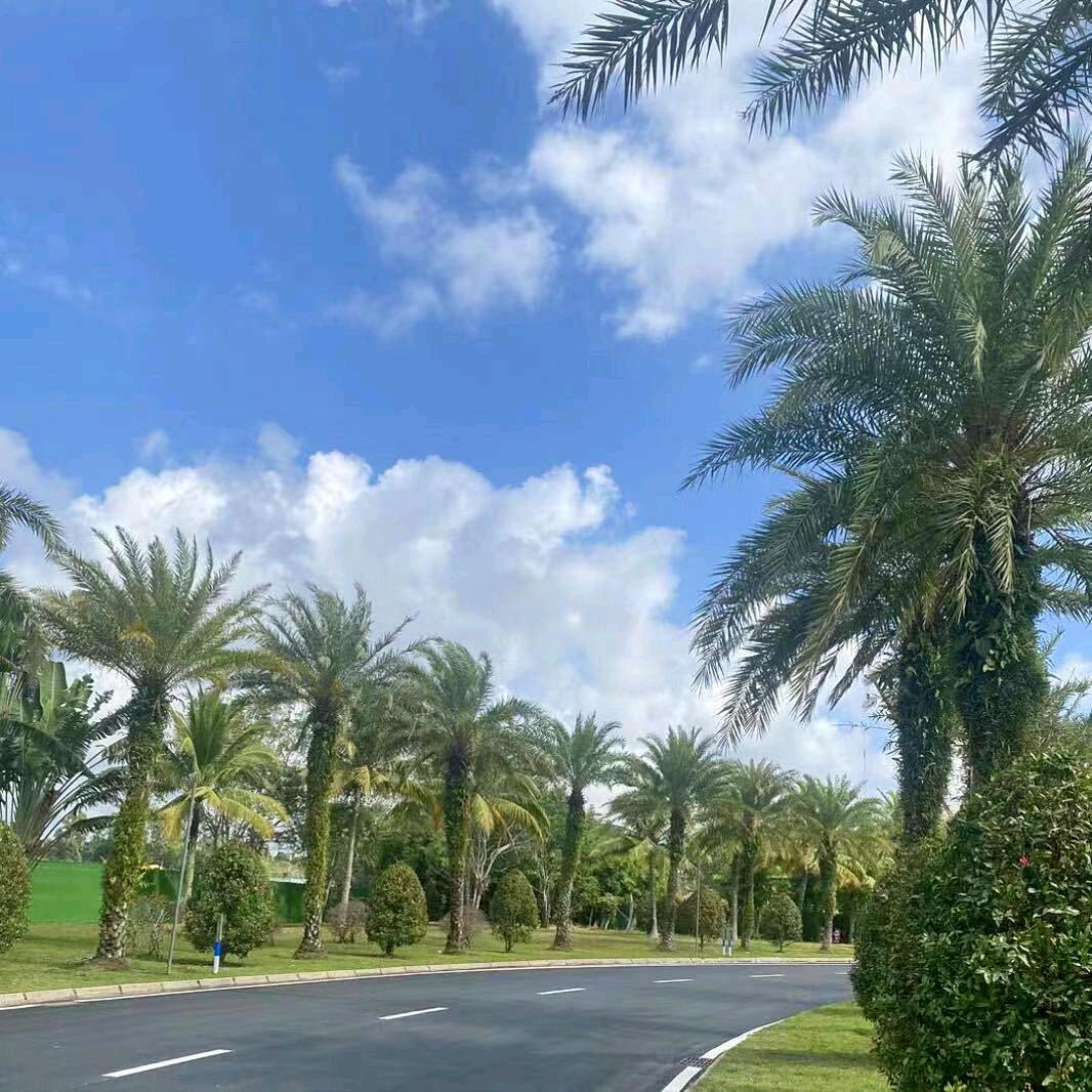 归零重启《二哥》