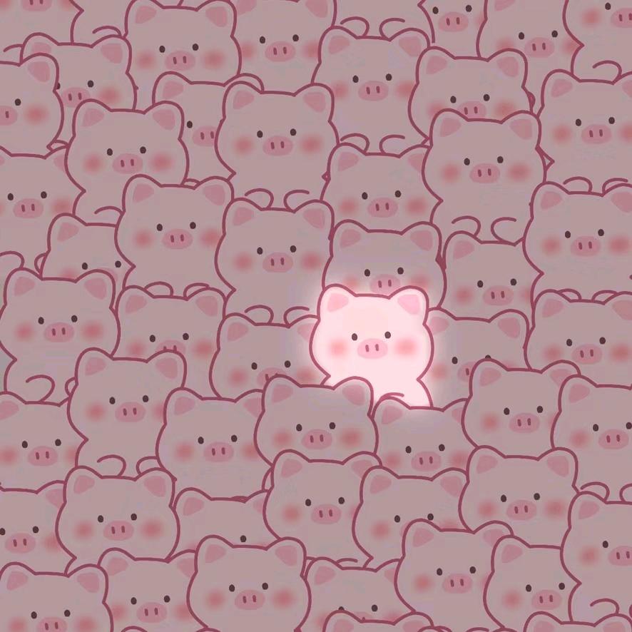 糖糖·米