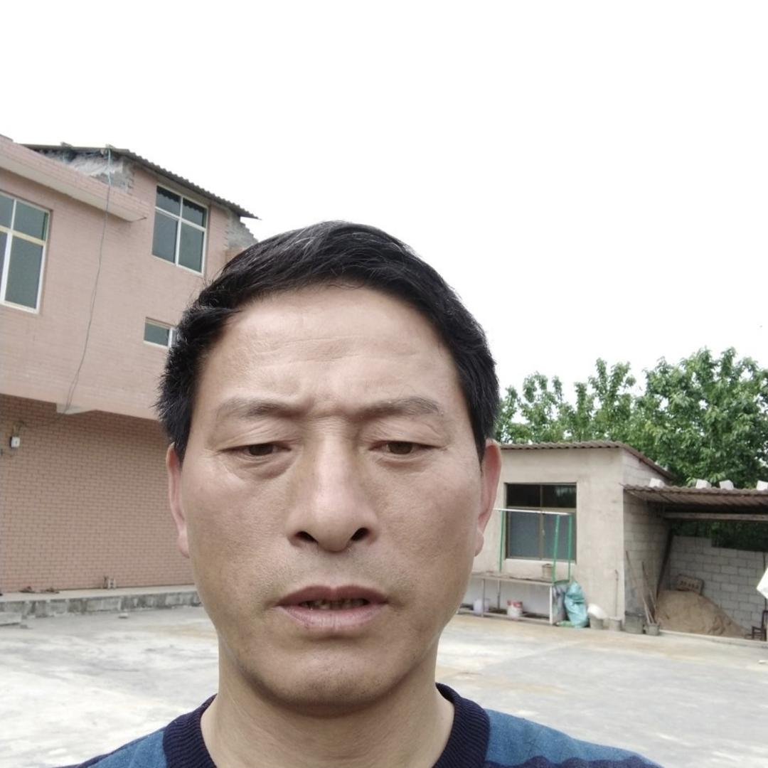 钢哥