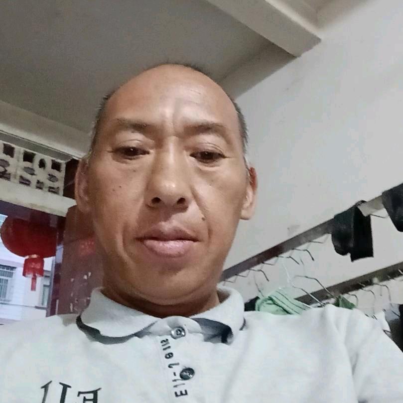 金文龙