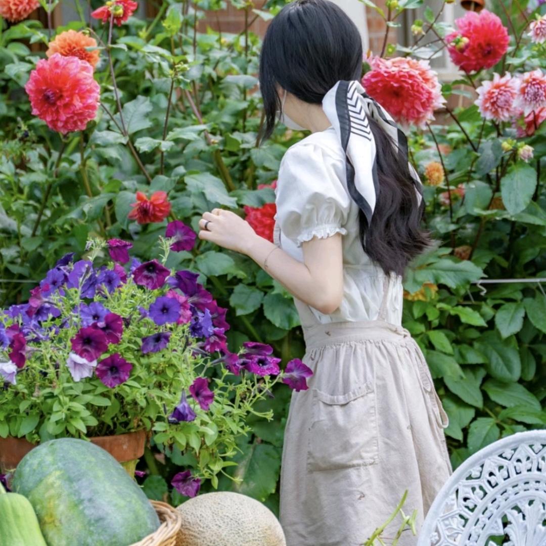 胖姐养花种菜