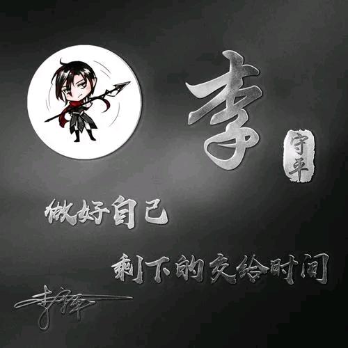 李   想  真   帅