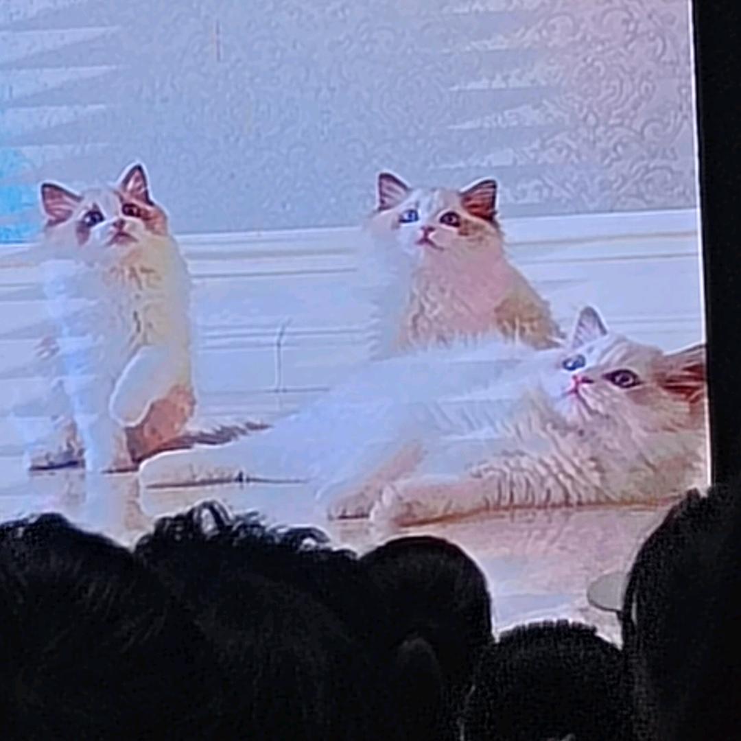 祝好人平安一生
