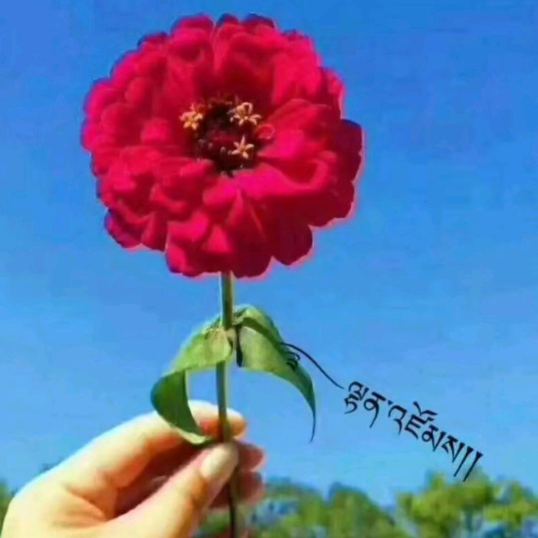 努力不止现在