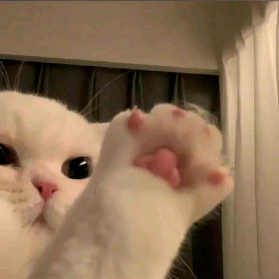 😍哈哈