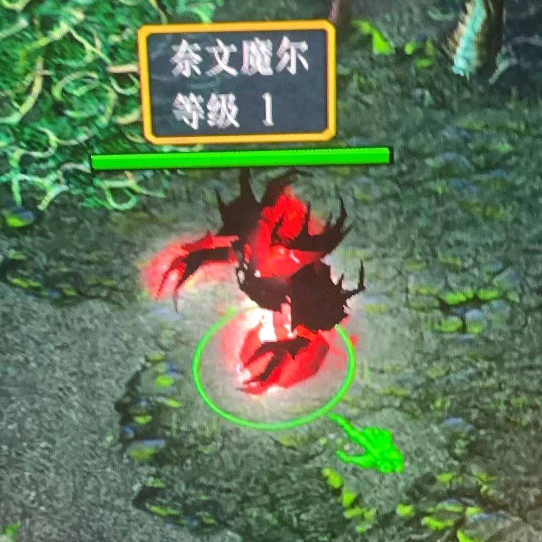 花花的魔兽世界