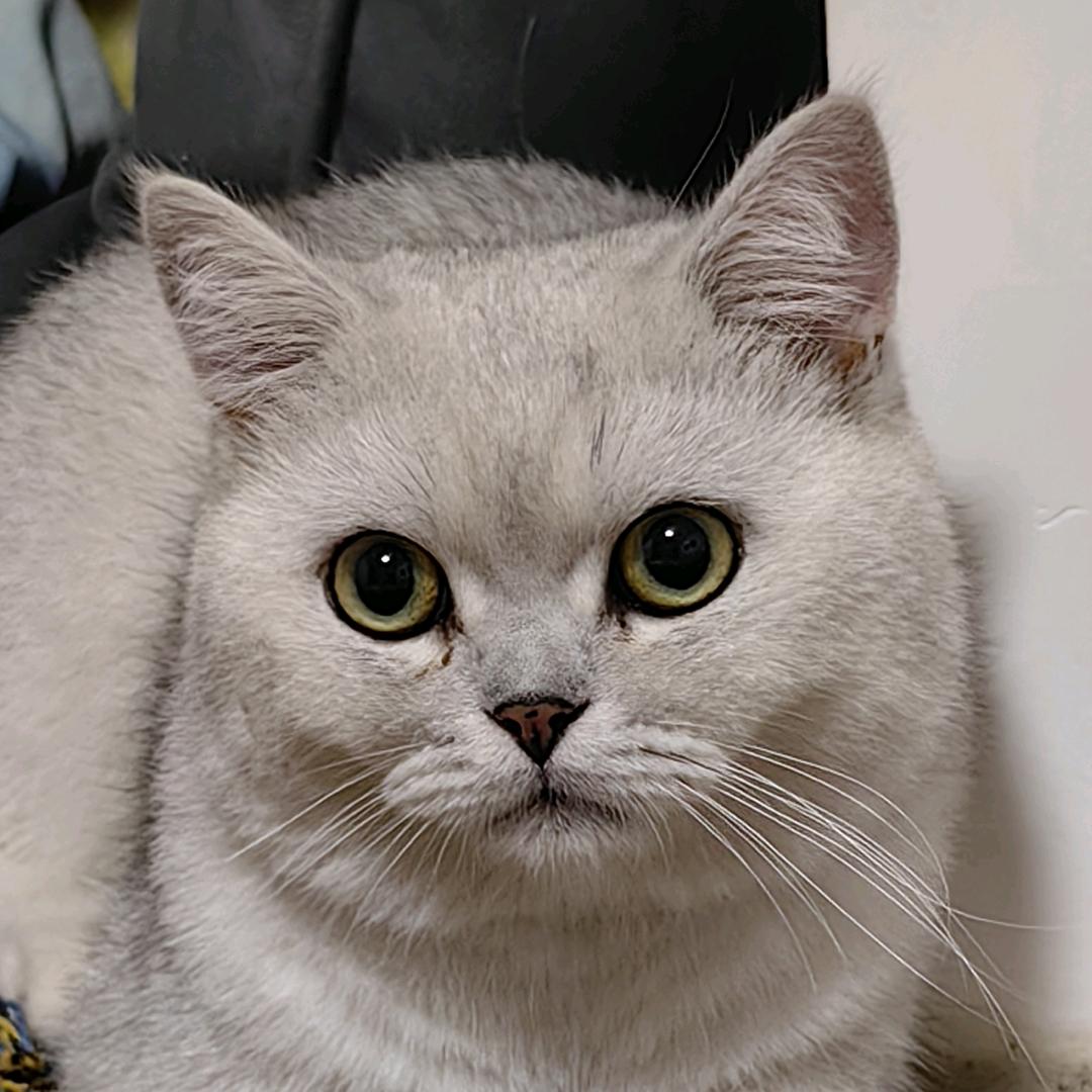 植引花艺（樂哥1001）